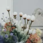 Il Fiore Dei Sassi