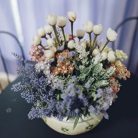 Il Fiore Dei Sassi *