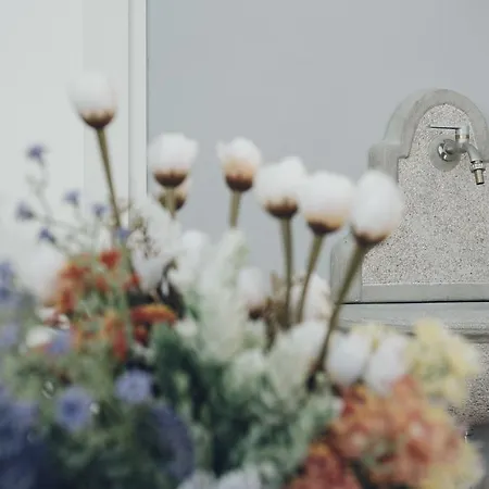 Il Fiore Dei Sassi